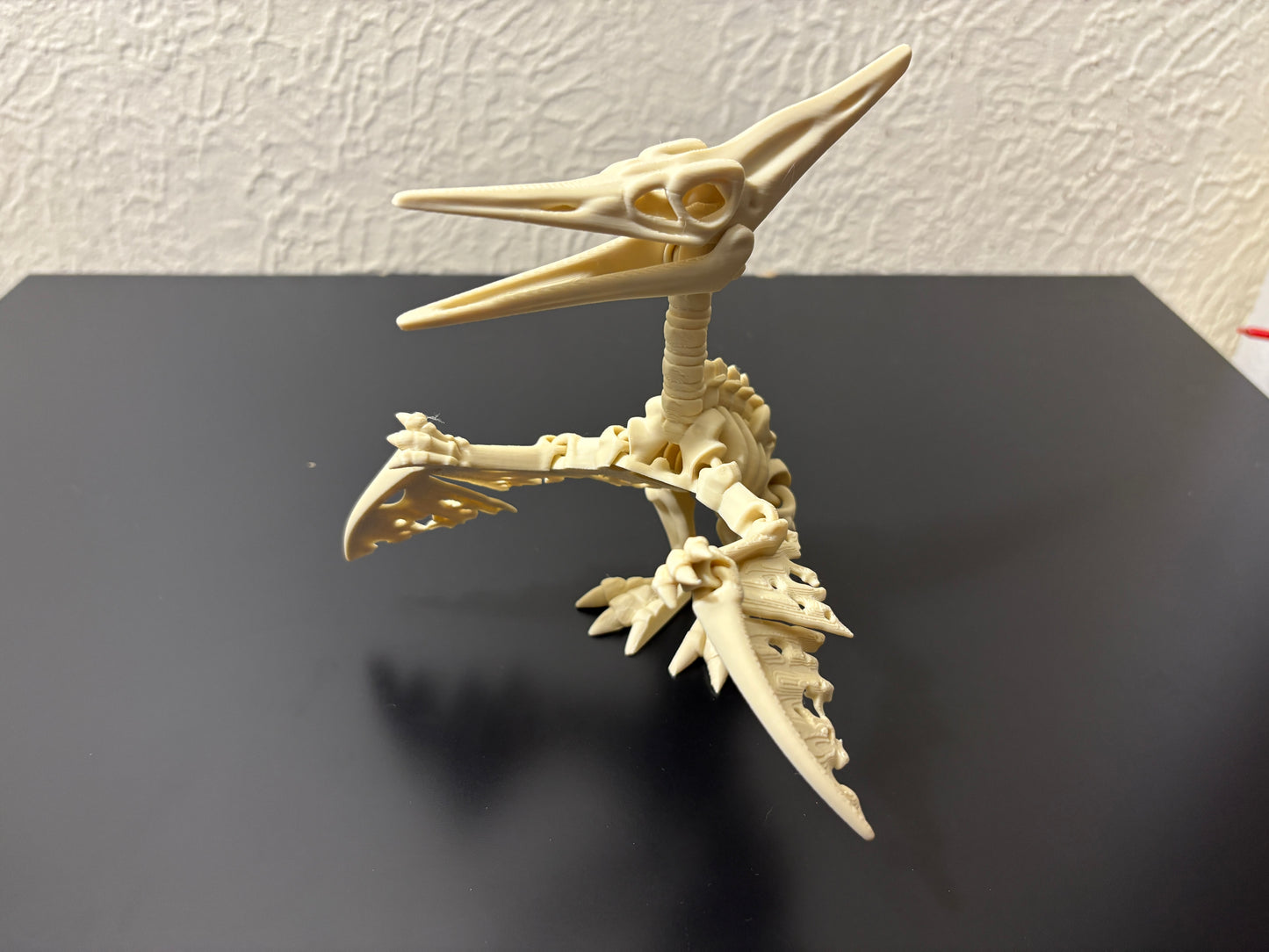 Flexi Skeleton Pteranodon