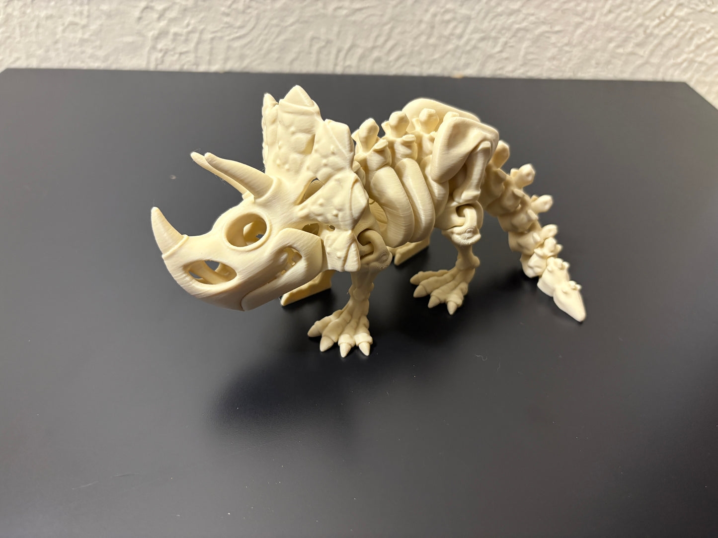 Flexi Skeleton Triceratops