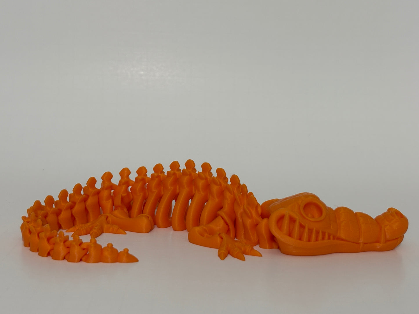 Flexi Skeleton Crocodile