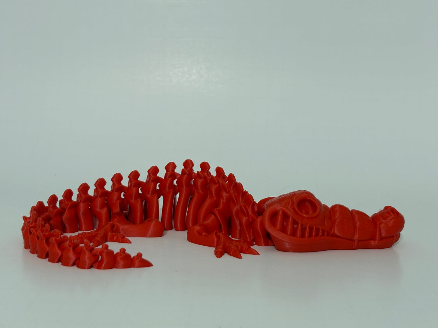 Flexi Skeleton Crocodile