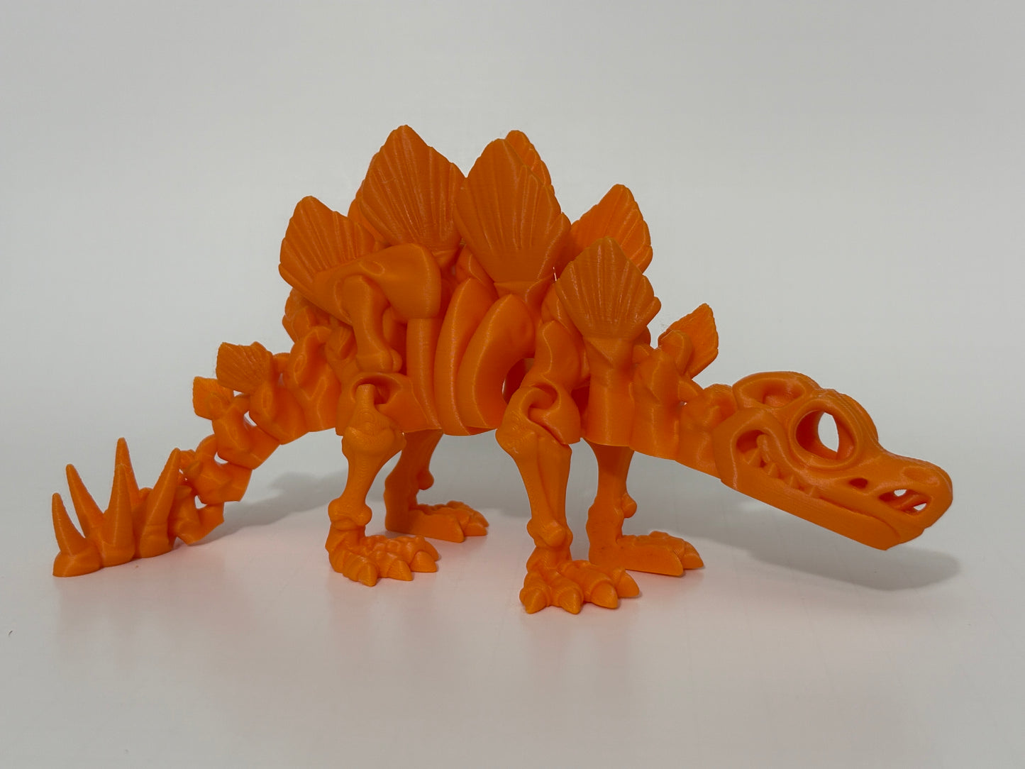 Flexi Skeleton Stegosaurus