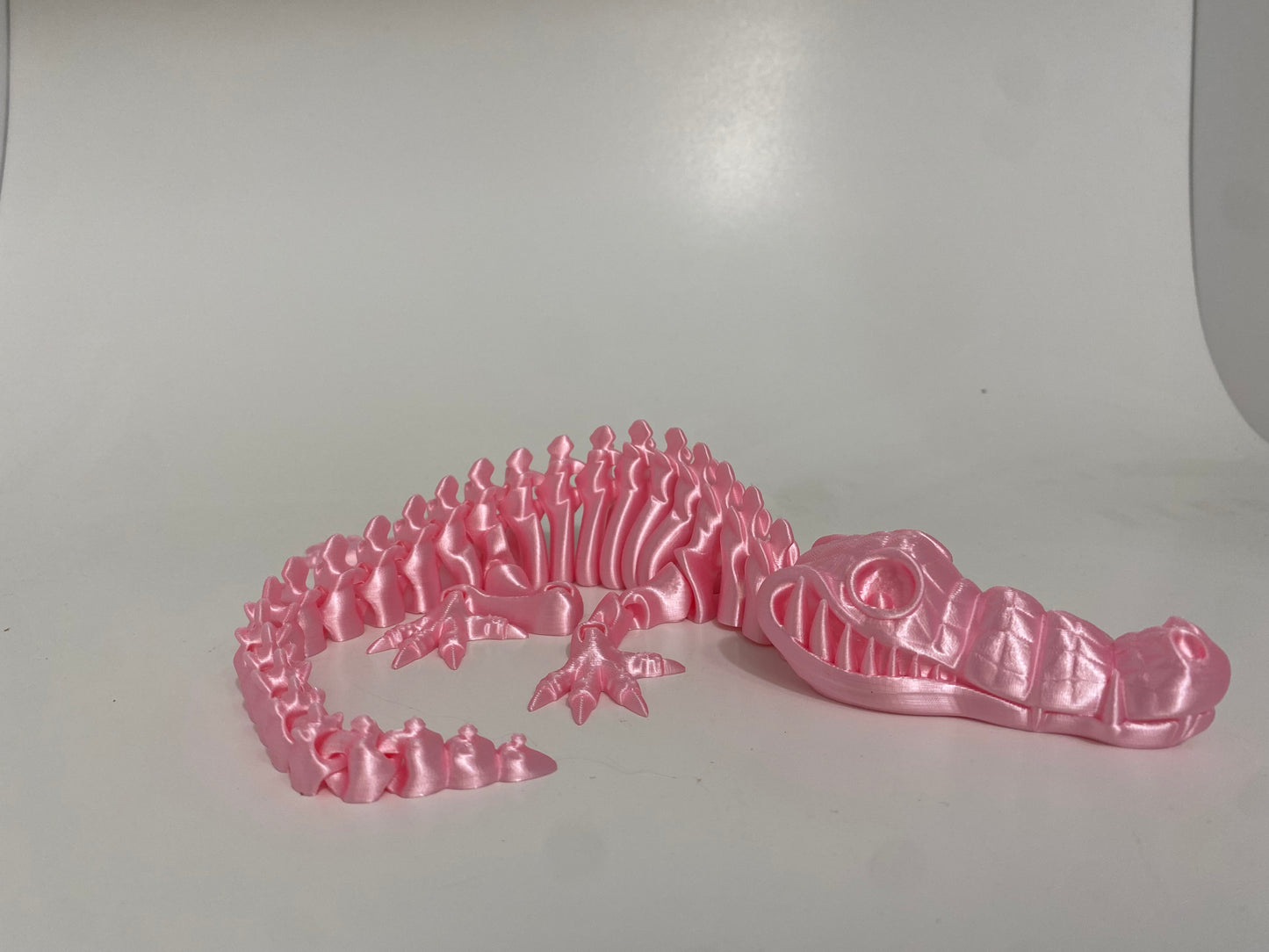 Flexi Skeleton Crocodile