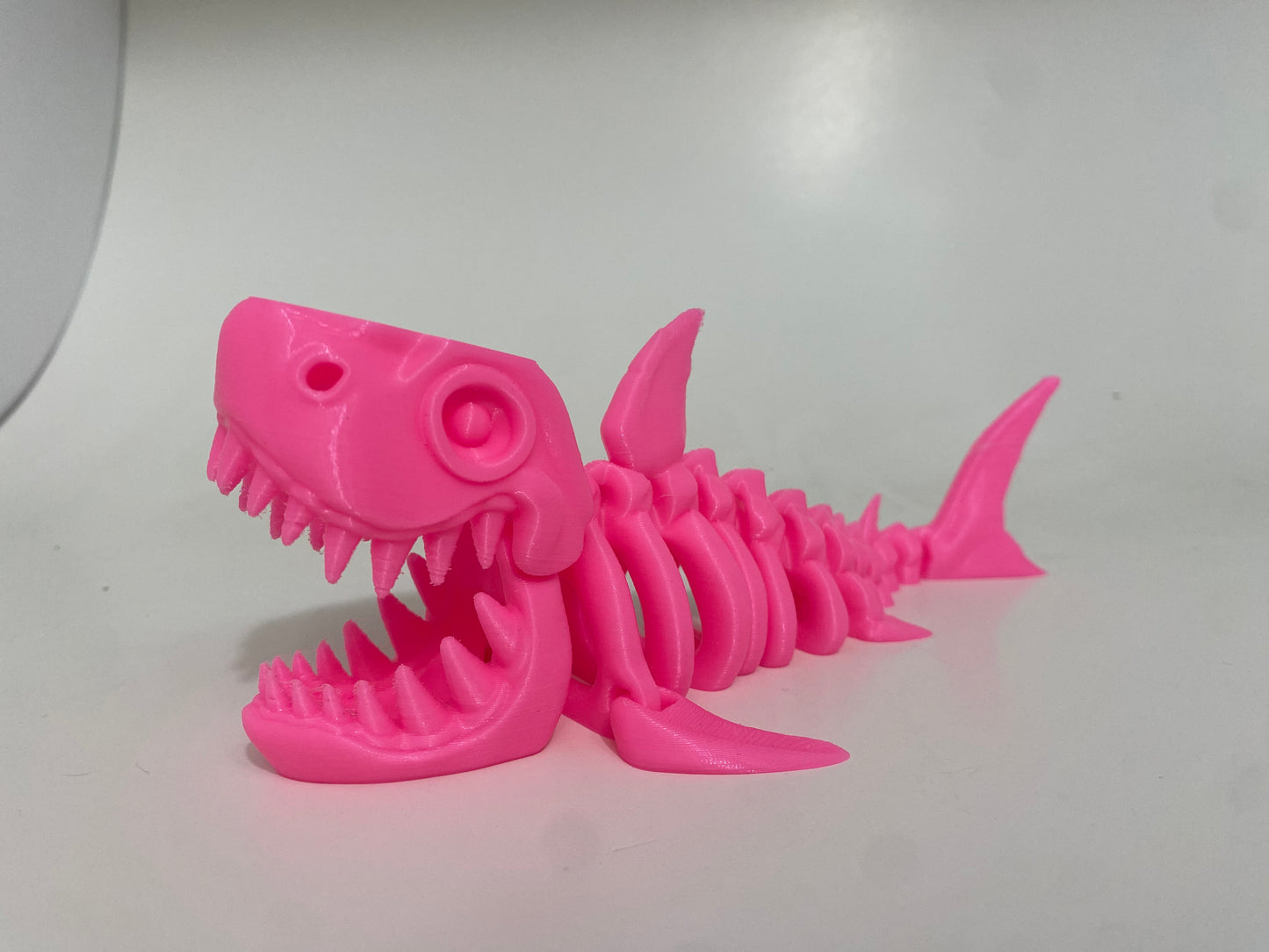 Flexi Skeleton Shark