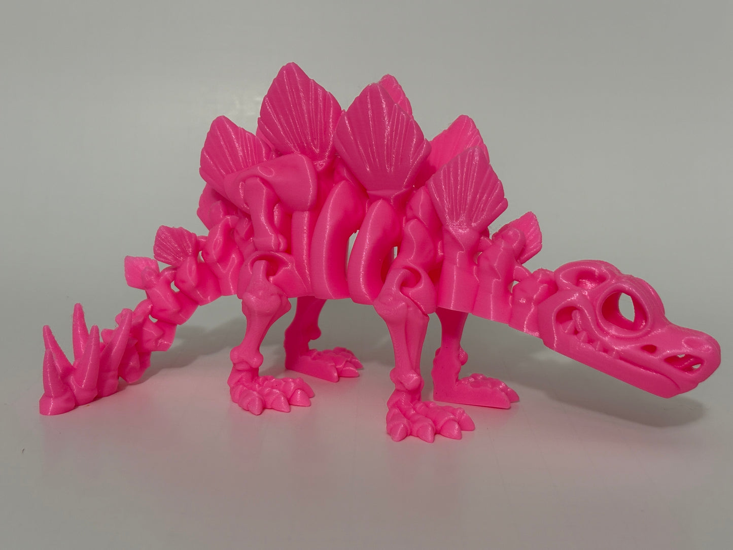 Flexi Skeleton Stegosaurus