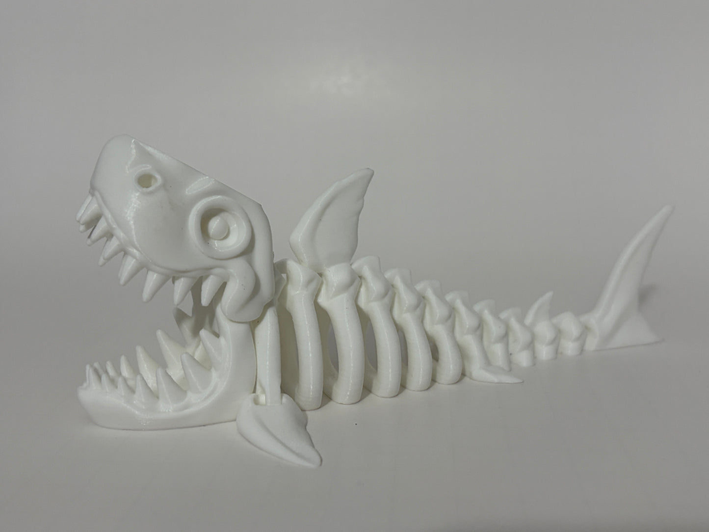 Flexi Skeleton Shark