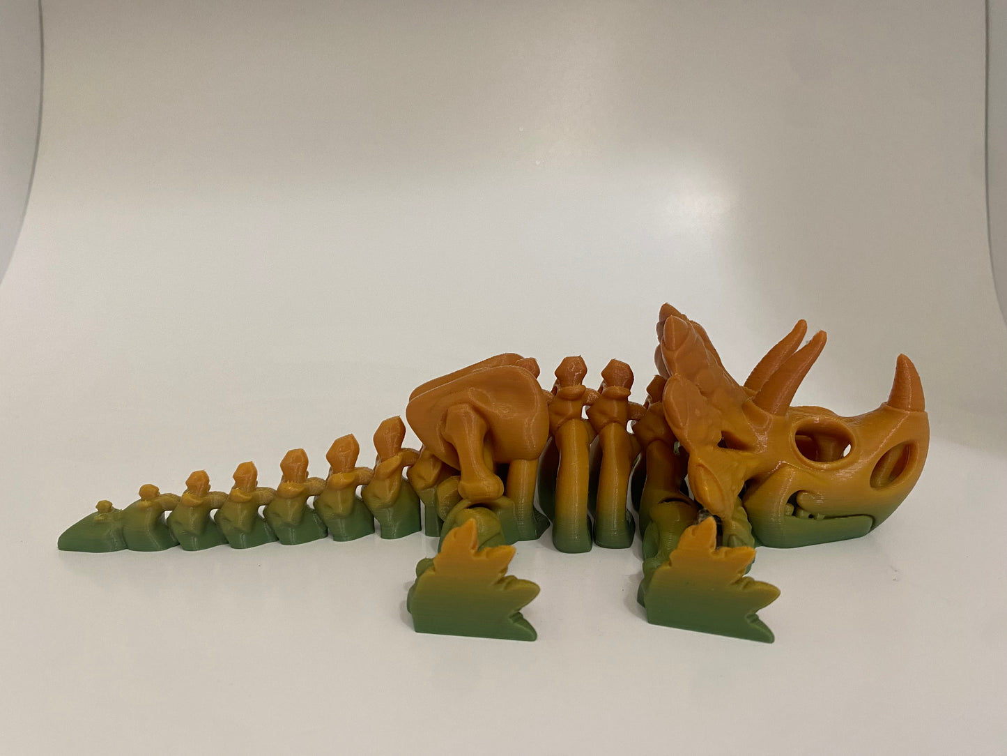 Flexi Skeleton Triceratops