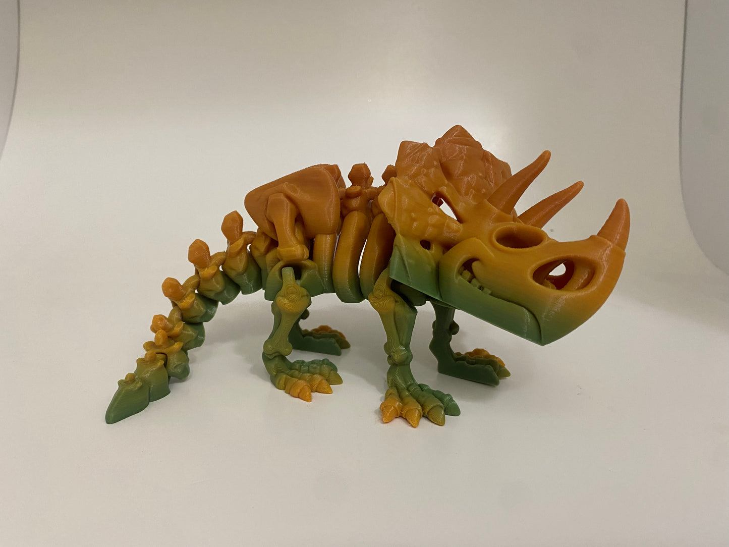 Flexi Skeleton Triceratops