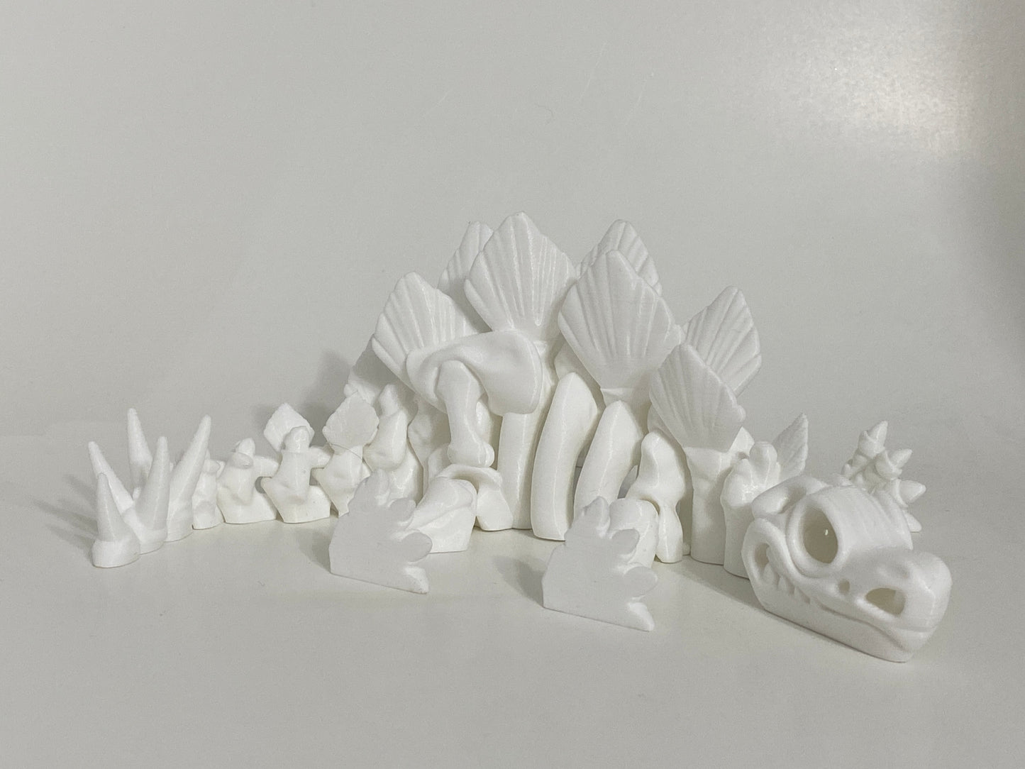 Flexi Skeleton Stegosaurus