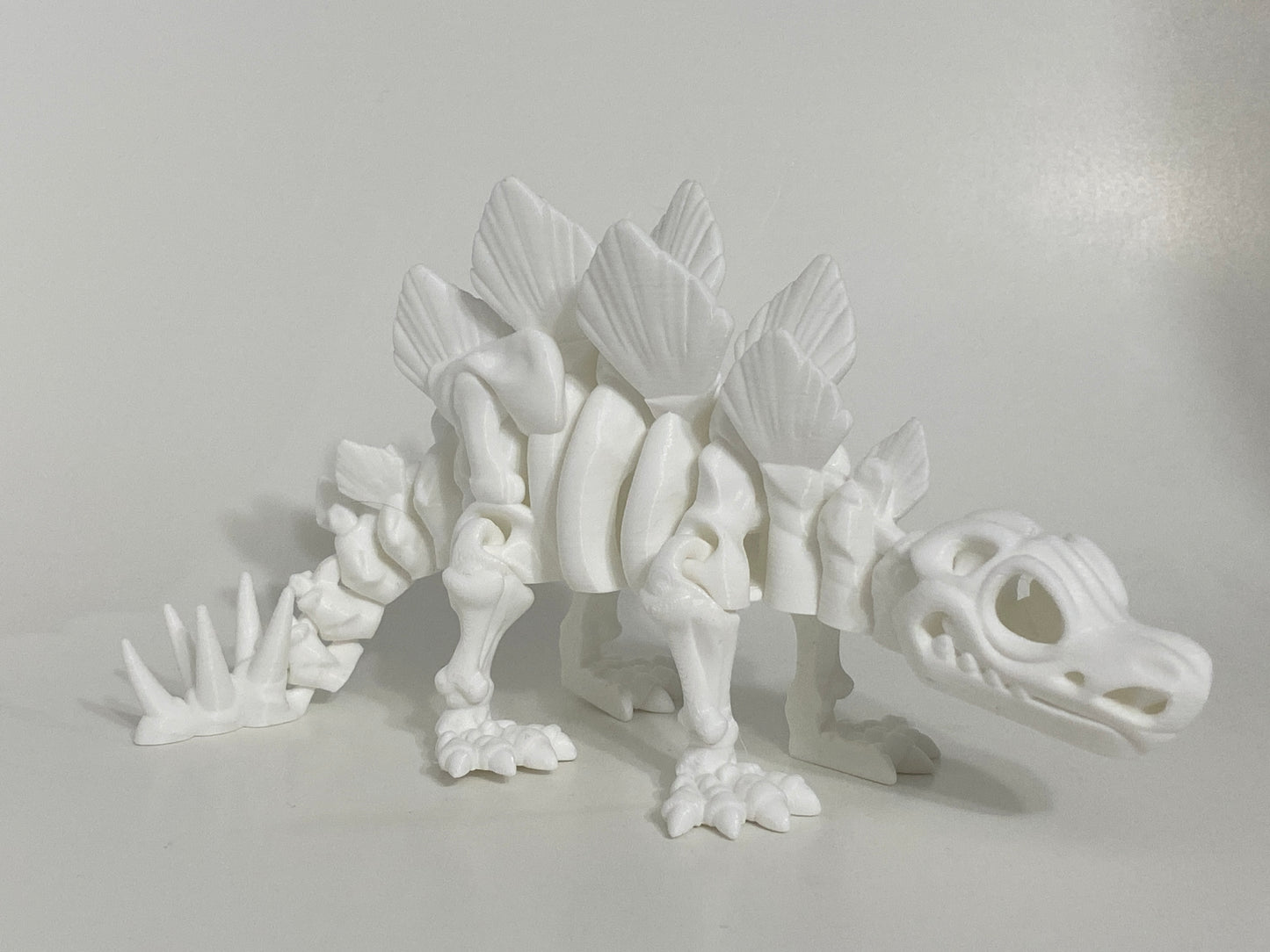 Flexi Skeleton Stegosaurus